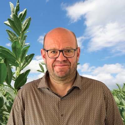 Kopie von DH-Neu_Sojafeld - 1